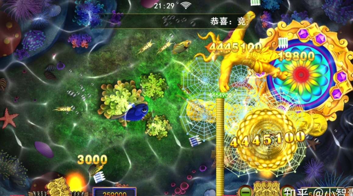 星力十代平台微信号
